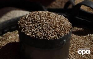 К инициативе Grain from Ukraine присоединились более 30 стран и организаций