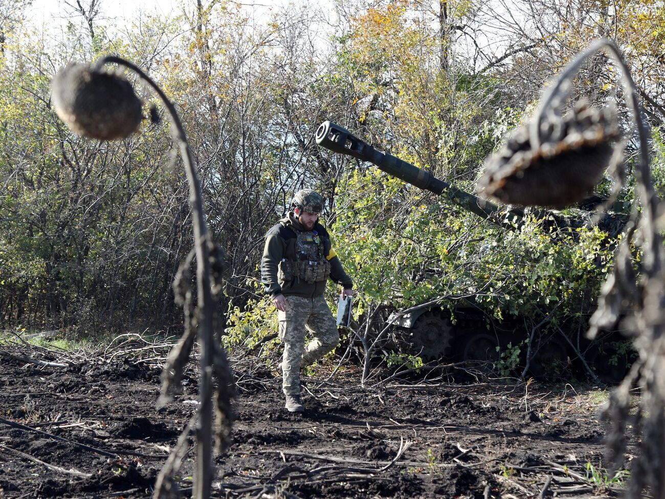Сили оборони України завдали уражень ворогу