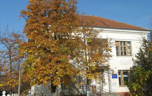 Художественные фонды галереи насчитывали более 1200 экспонатов