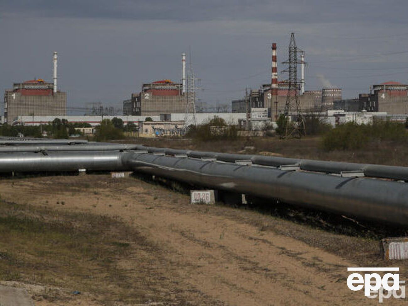 Своїми діями на тимчасово окупованій ЗАЕС росіяни шкодять екології та вбивають тварин, заявили в "Енергоатомі"