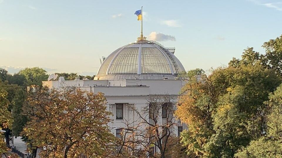 Законопроєкт підтримали як основу понад 300 нардепів