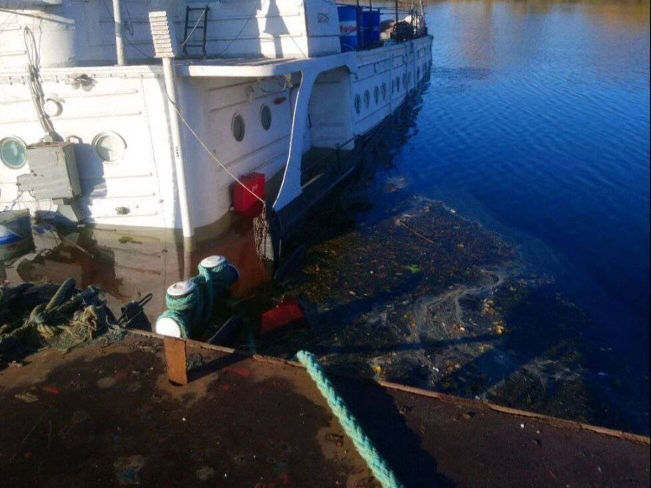 Янушевич зазначив, що Україна не може оперативно прибрати плями у воді