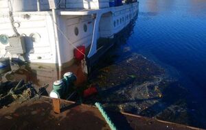 Янушевич зазначив, що Україна не може оперативно прибрати плями у воді