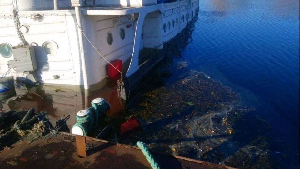 Янушевич зазначив, що Україна не може оперативно прибрати плями у воді