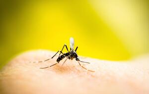 Резніков пожартував із постпреда РФ в ООН, який заявив про "бойових комарів" на озброєнні у США