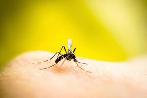 Резніков пожартував із постпреда РФ в ООН, який заявив про "бойових комарів" на озброєнні у США