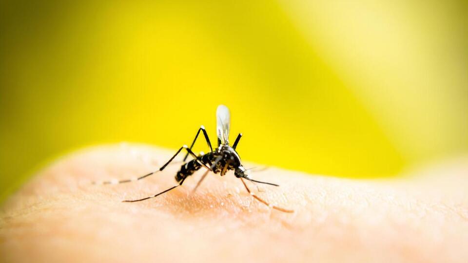 Резніков пожартував із постпреда РФ в ООН, який заявив про "бойових комарів" на озброєнні у США