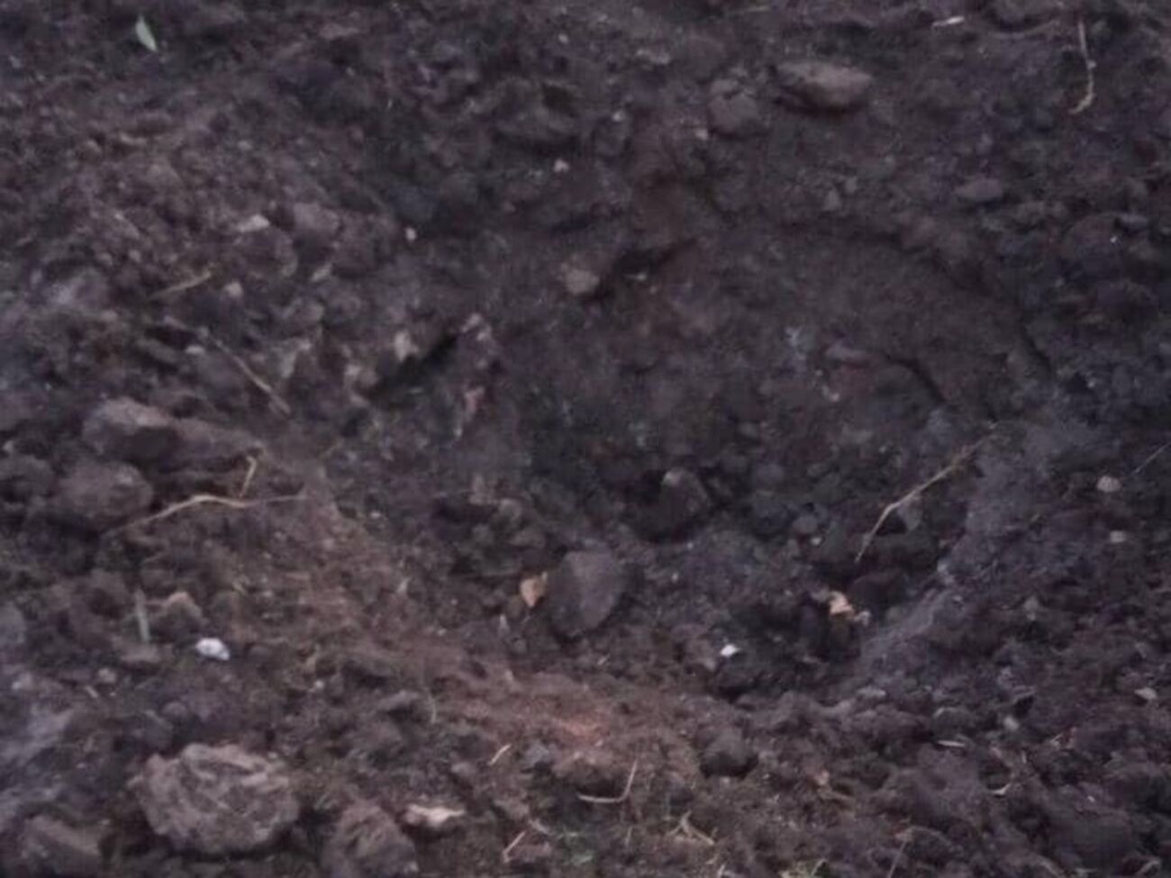 Оккупанты выпустили по приграничью Сумской области 59 мин и снарядов, отметил Живицкий