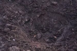 Оккупанты выпустили по приграничью Сумской области 59 мин и снарядов, отметил Живицкий