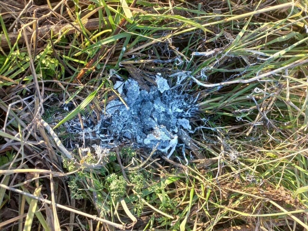 Зажигательные боеприпасы использовали россияне при обстреле Эсманской общины, отметил глава Сумской ОВА