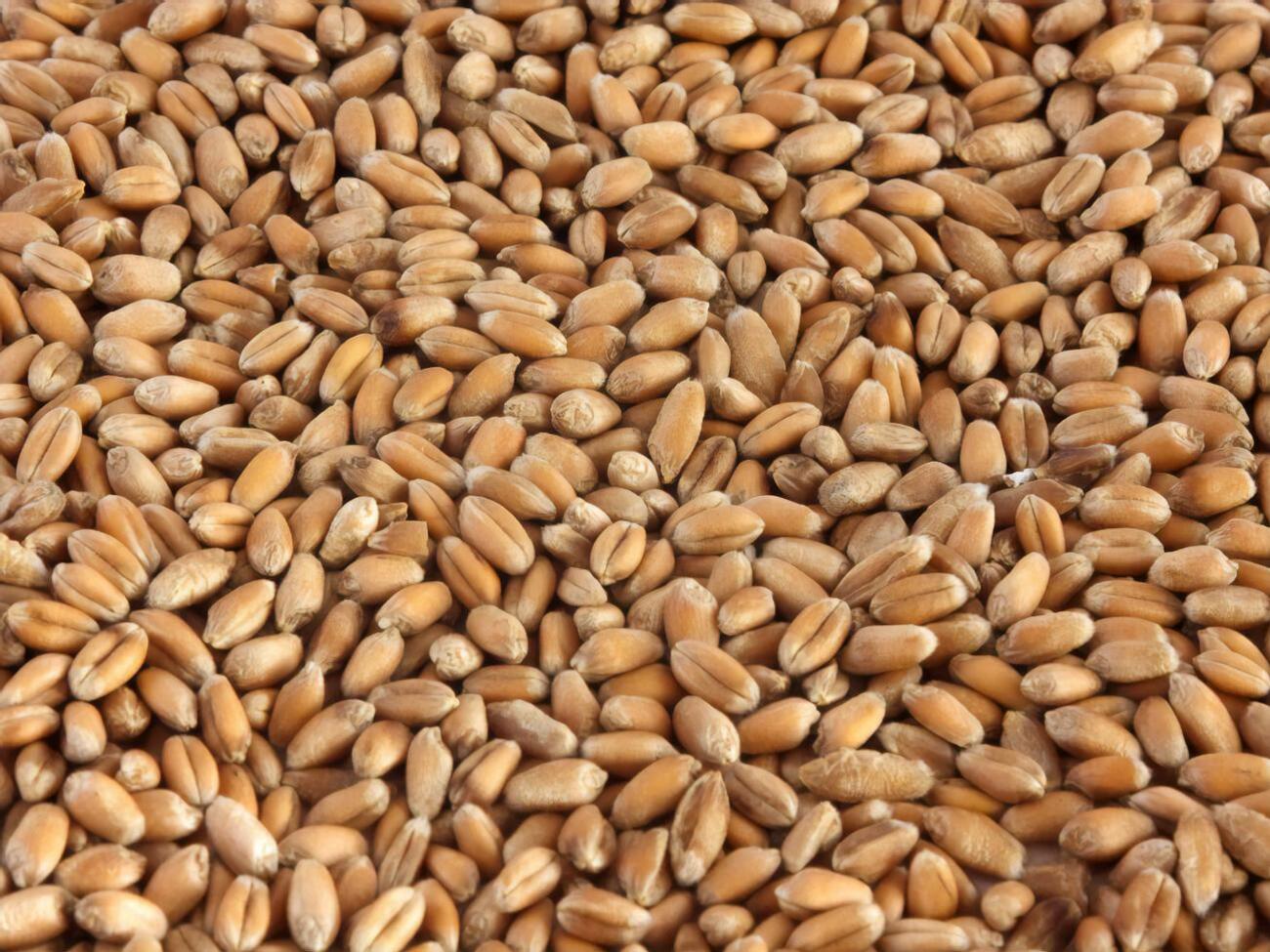 По данным следствия, мужчина помогал вывозить из Украины зерно