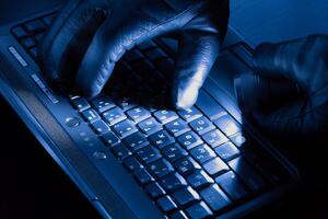 Хакеры атаковали ряд украинских организаций вирусом-вымогателем RansomBoggs