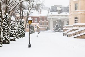Во Львове и области сегодня весь день ожидаются сильные снегопады, налипание мокрого снега и гололедица