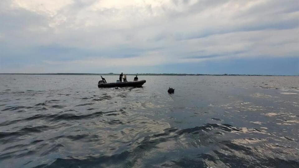 Мина дрейфовала в нескольких километрах от порта Констанца