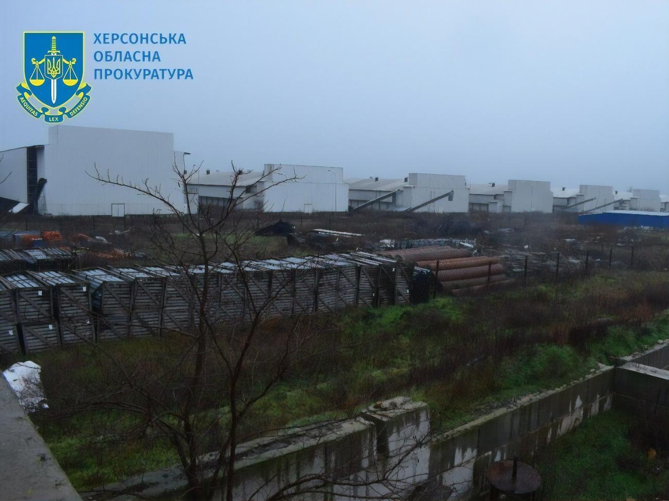 Из-за обстрелов ферма еще в марте осталась без электроэнергии, а у сотрудников не было возможности кормить птиц и поддерживать санитарный режим