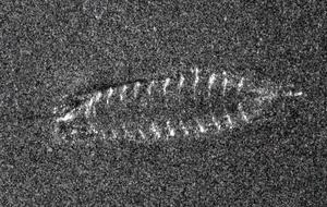 Судно, по оценкам, было построено в период между 1300-м и 1850-м годами