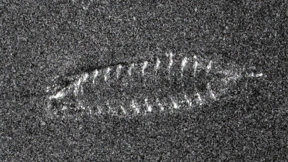 Судно, по оценкам, было построено в период между 1300-м и 1850-м годами