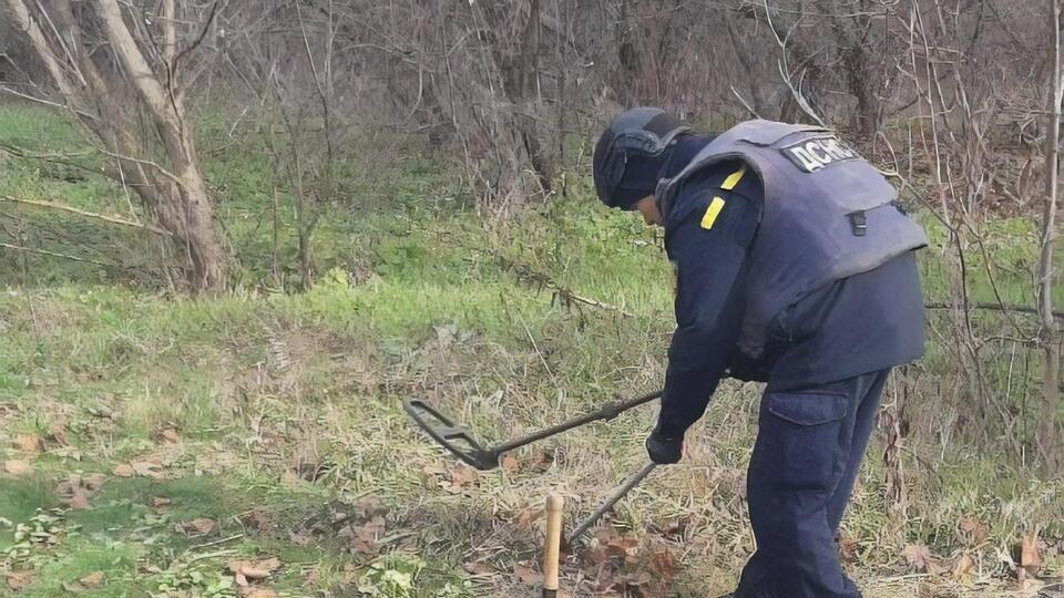 Каждая обезвреженная российская мина, изъятый снаряд, обнаруженная и обезвреженная растяжка – спасенные жизни украинцев, отметил Зеленский