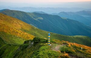 Пограничников за просмотром социальных сетей заметил майор, проверявший патрули