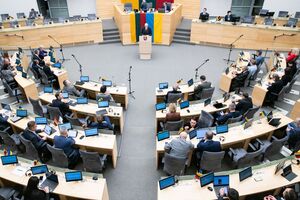 Документ о запрете на оружие для россиян и белорусов поддержали 106 депутатов Сейма Литвы