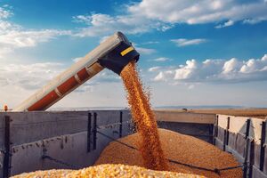 Росія перевантажувала крадене зерно на інші кораблі кранами в морі – розслідування