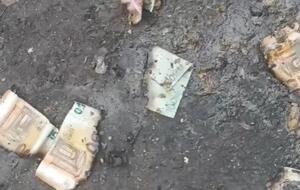 Канализацию забило обожженными купюрами