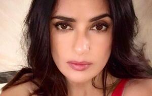 Хайек: Рождество пришло рано!