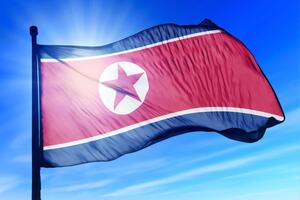 В США считают, что оружие от КНДР не изменит динамику боевых действий в Украине