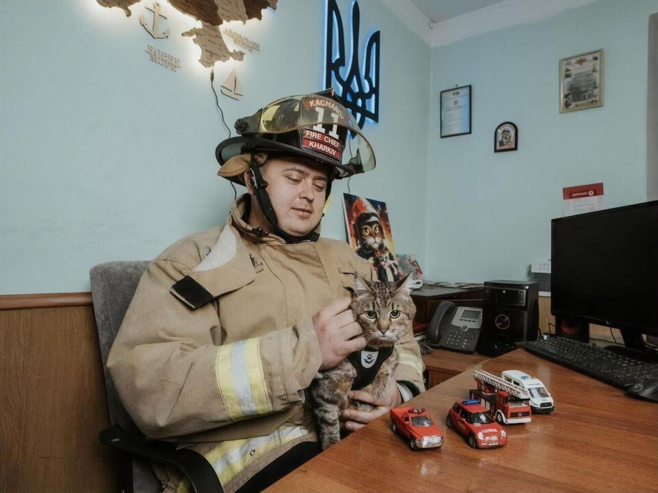 Качанов: Хочу поблагодарить кота Степана и его замечательных хозяев за такой приятный визит