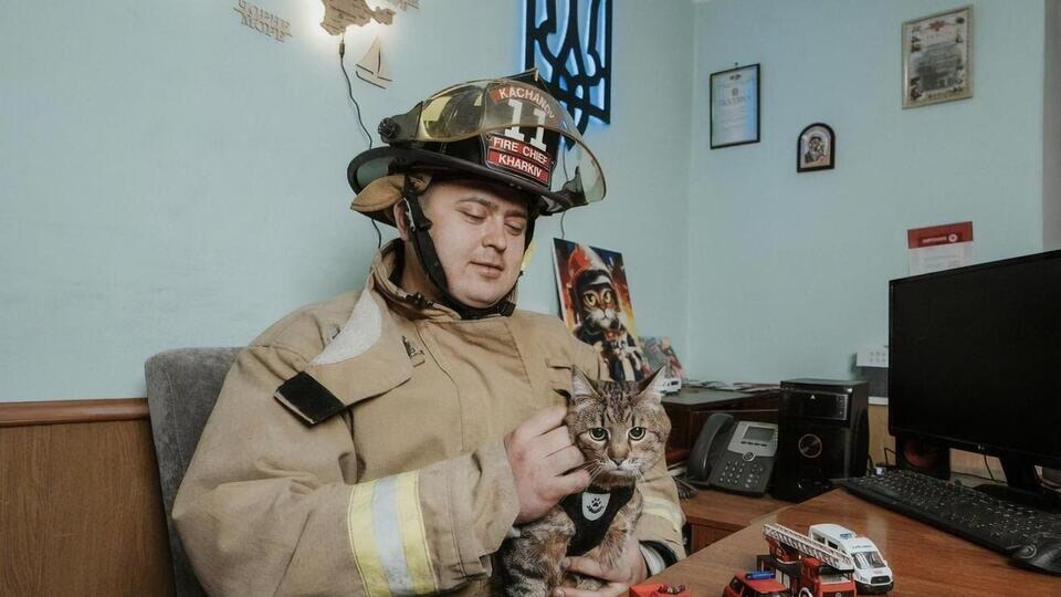 Качанов: Хочу подякувати коту Степану і його чудовим господарям за такий приємний візит