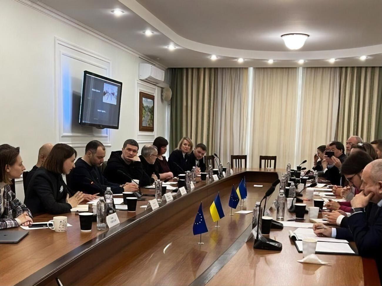 Автори документа запропонували зміни до шести кодексів і 21 закону