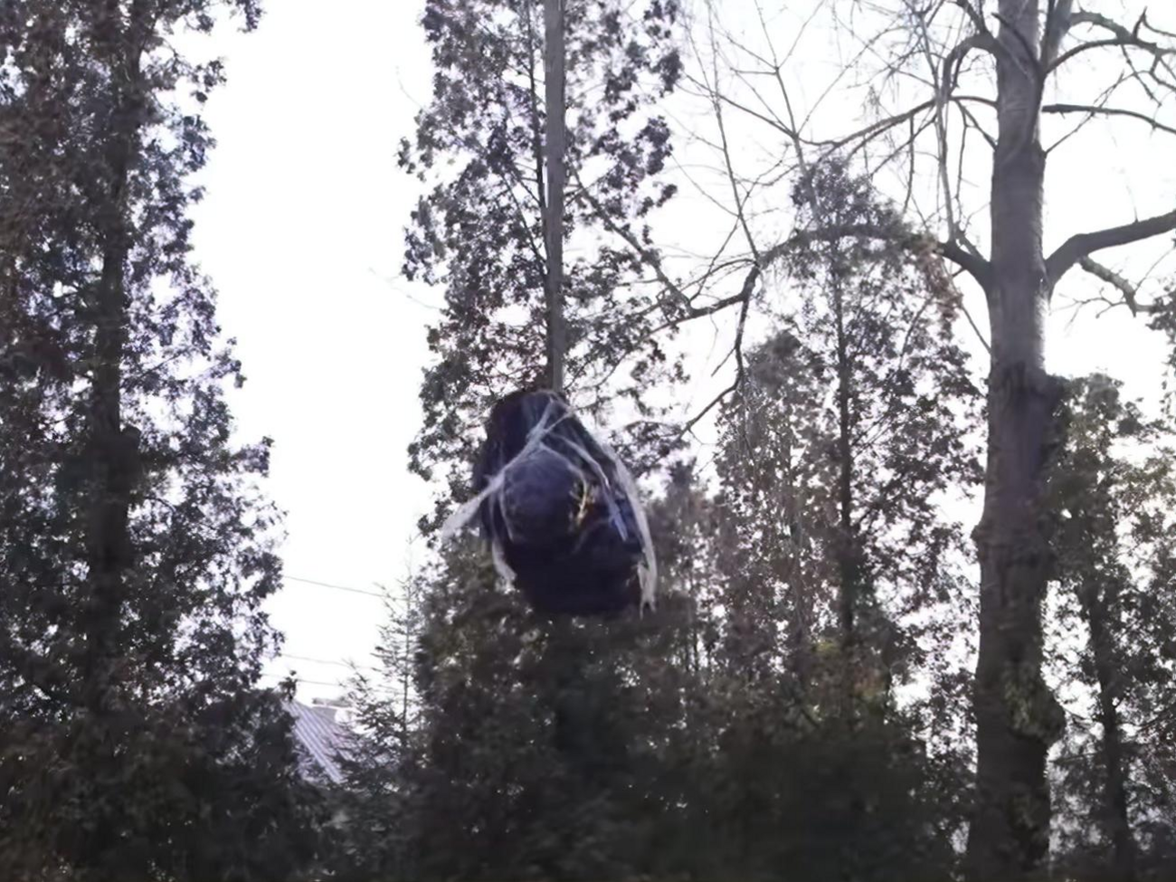 Памятник Пушкину демонтировали 23 декабря