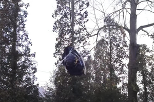 Памятник Пушкину демонтировали 23 декабря