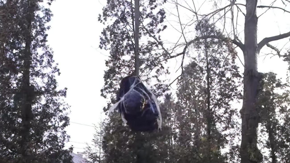 Пам'ятник Пушкіну демонтували 23 грудня