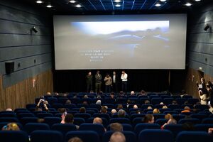 Левицкий: Эти истории героичны, они демонстрируют высокий уровень профессионализма малой авиации в Украине