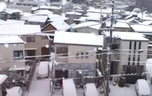 Из-за снега появились проблемы с электричеством