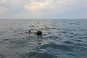 Міну до берега прибив шторм