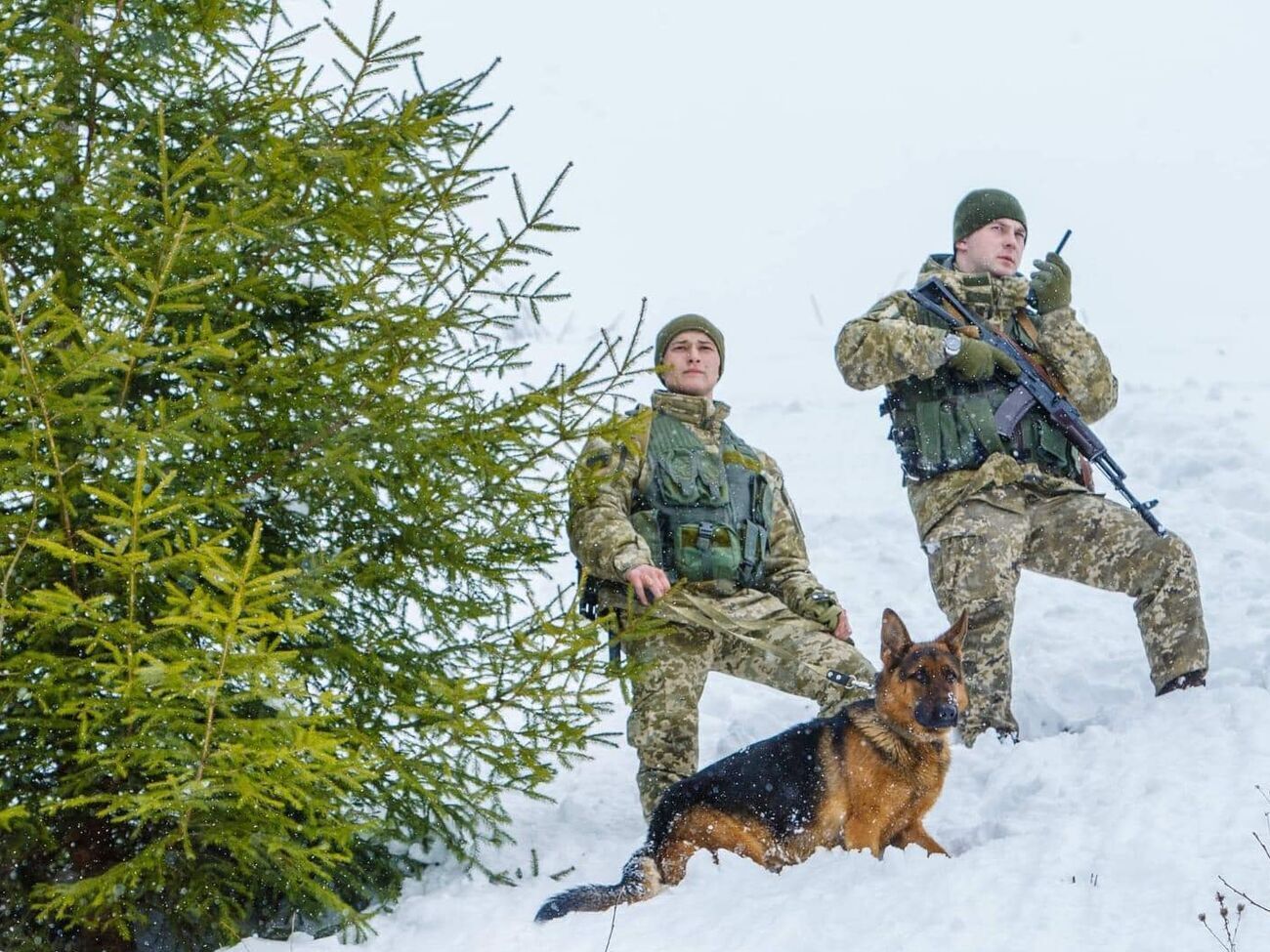 Прикордонники цього року виявили у горах тіла трьох українців, які намагалися незаконно перетнути кордон