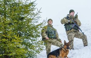 Прикордонники цього року виявили у горах тіла трьох українців, які намагалися незаконно перетнути кордон