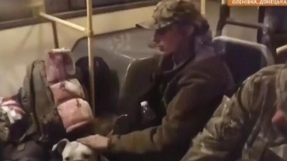 Україні вдалося повернути собаку, якого вкрали окупанти