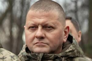 Залужный: Наша победа тоже будет общей!