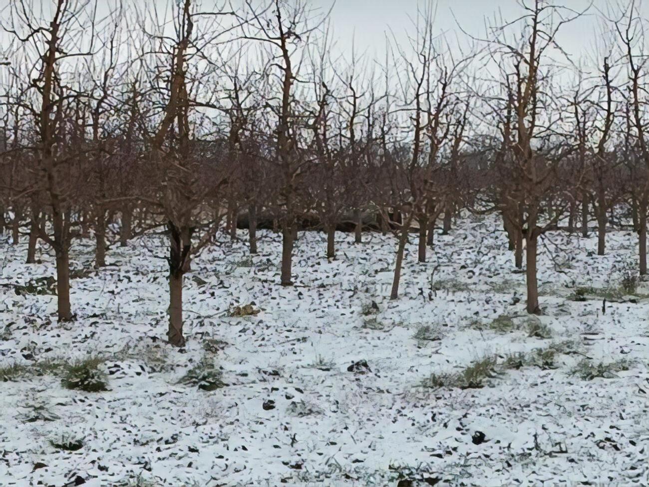 Росія розповсюджує свій ракетний тероризм і на сусідів України, зазначив Галущенко