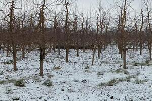 Росія розповсюджує свій ракетний тероризм і на сусідів України, зазначив Галущенко