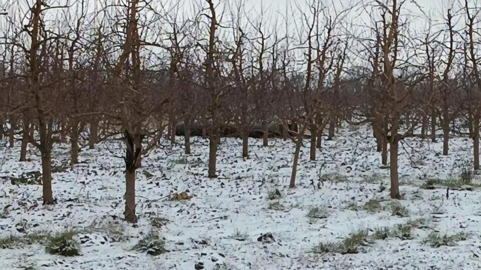 Россия распространяет свой ракетный терроризм и на соседей Украины, отметил Галущенко