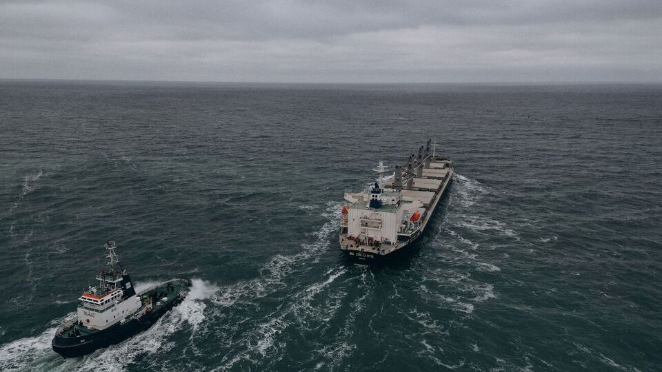 Украина в рамках программы Grain from Ukraine отправила уже два судна с пшеницей для Эфиопии