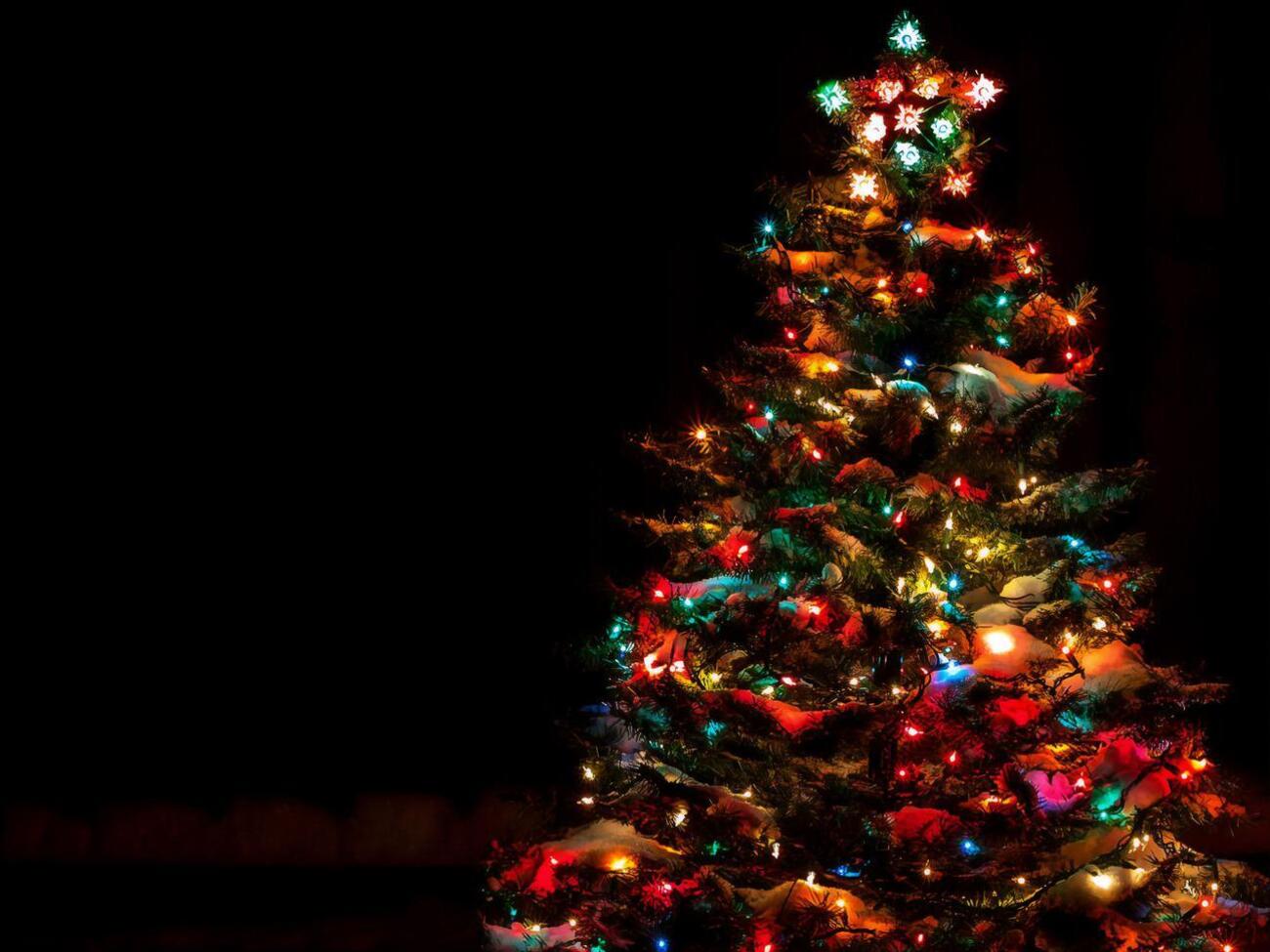 Елку на слощади Свободы в Харькове в этом году устанавливать не будут