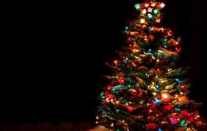 Елку на слощади Свободы в Харькове в этом году устанавливать не будут