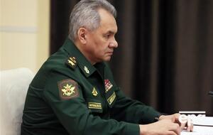 СМИ называли Елену Каминскас матерью двух внебрачных детей Шойгу