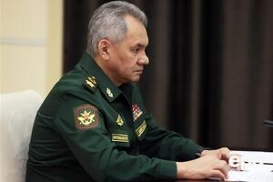 ЗМІ називали Олену Камінскас матір'ю двох позашлюбних дітей Шойгу