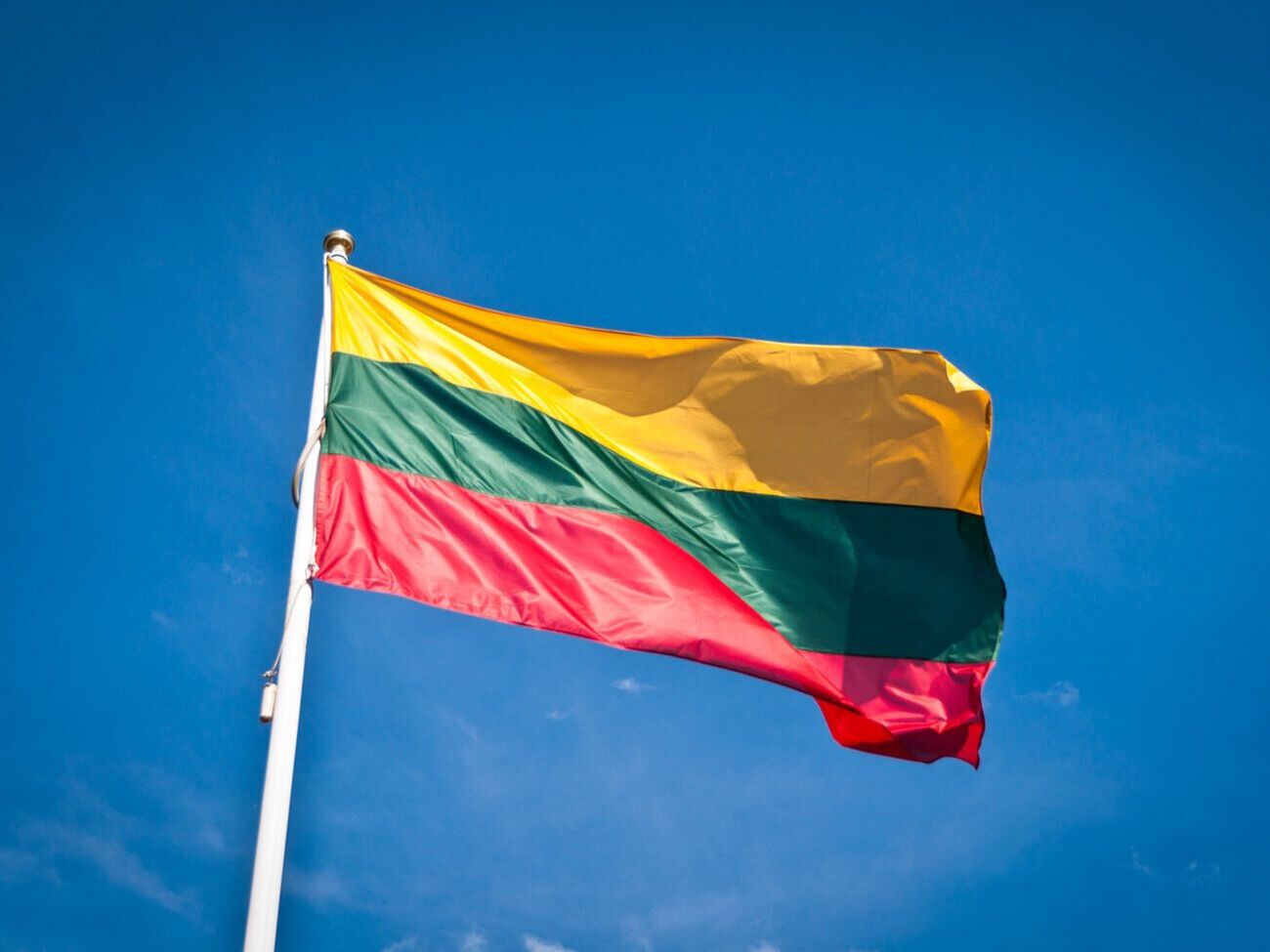 Литва хоче вивчити, як можна допомогти Україні